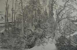 Schulwandbild "Aufforstung" Walter Dick
