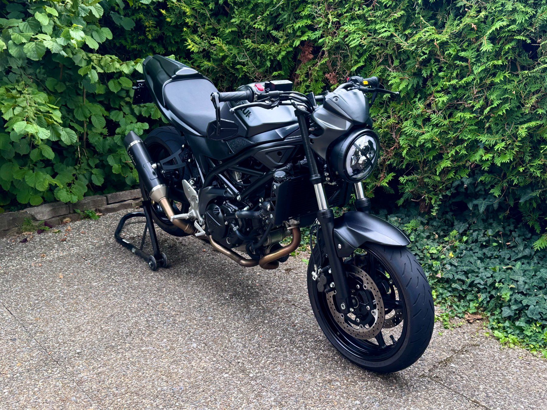 Suzuki Strada: Suzuki SV650 35 kW – Usato da Wädenswil venduto da qui_rm56 2