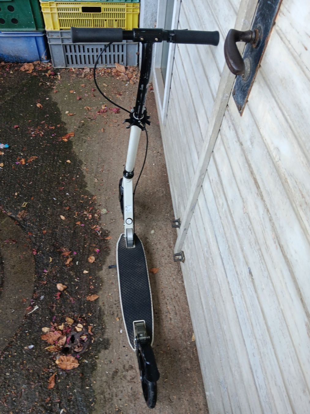 Scooters: Scooter BIG WHEEL – Gebraucht aus Dietikon von Sauber64 3