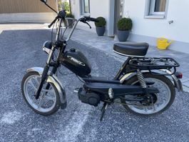Pony GTX mit Ausweis