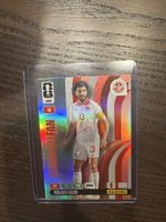 Panini Adrenalyn XL 466 Ferjani Sassi