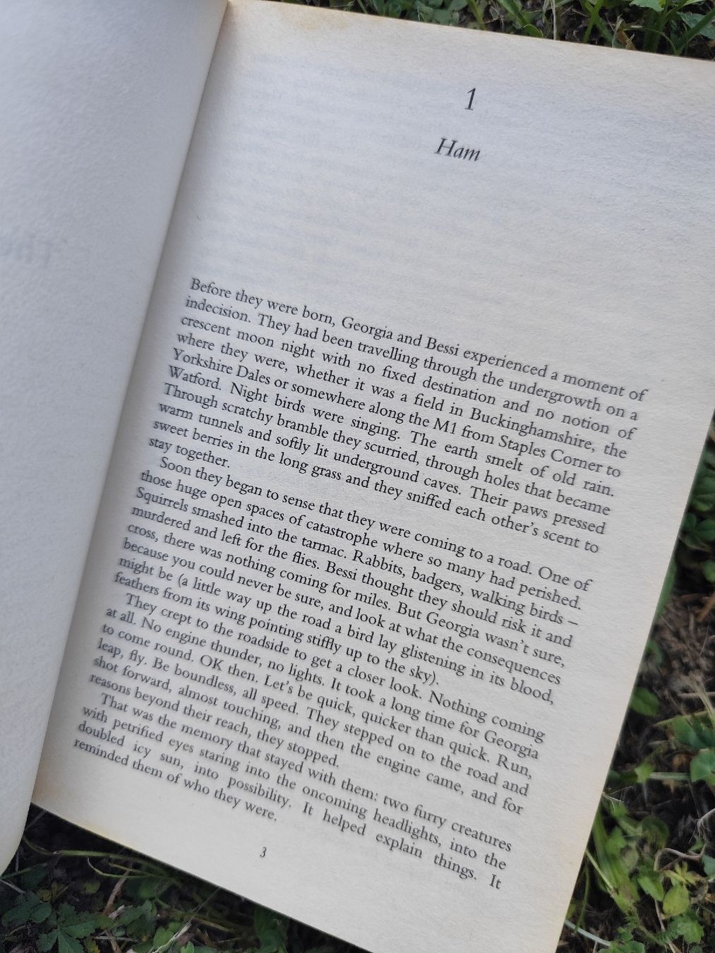 Livres: Diana Evans 26a Award Winning Novel – D'occasion à Mägenwil par VintageGirly 5