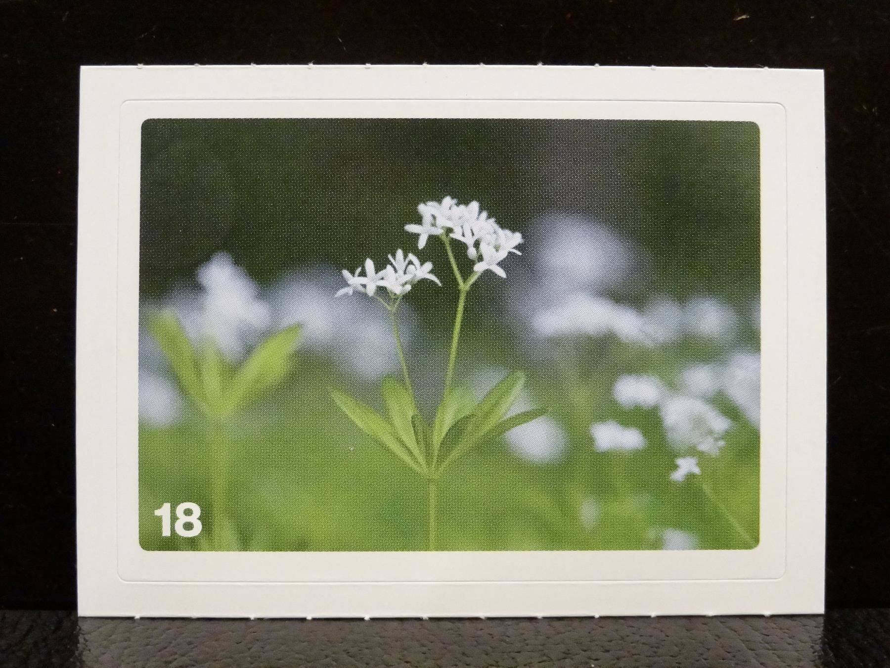 Migros Carte collezionabili: MIGROS MANIA Nature Detectives Nr. 18 – Nuovo e nell'imballaggio originale da Kerzers venduto da zimmergruen