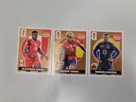 Panini WM 2026 Extra Sticker Bundle