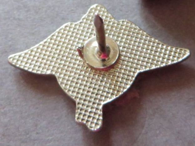 Placchette & Badge: PIN, KEY SYSTEM BAHN STRASSENBAHN BUSLINIEN, FLÜGEL – Usato da Neuhausen venduto da luckimucki 1