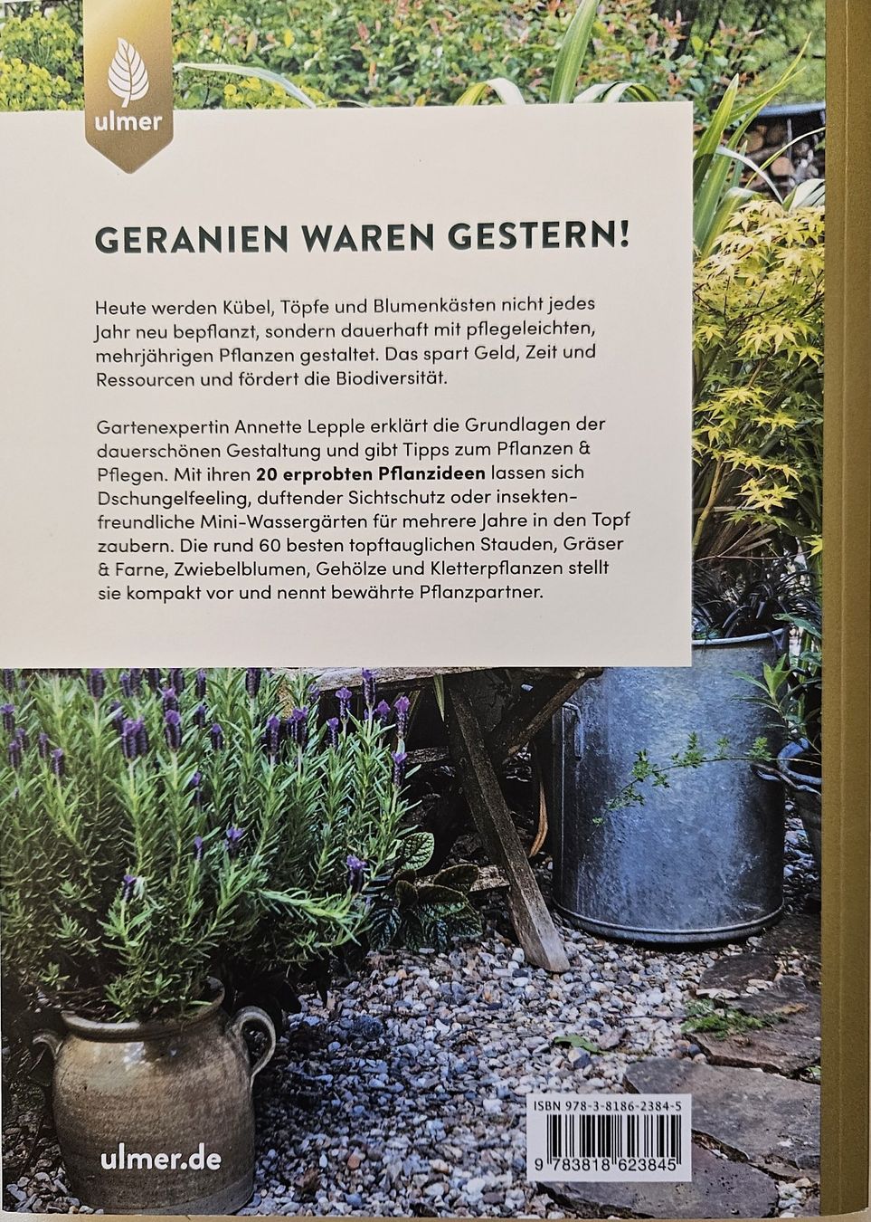 Libri: Mein Garten wächst im Topf Annette Lepple – Usato da Seengen venduto da Weitergeber 1