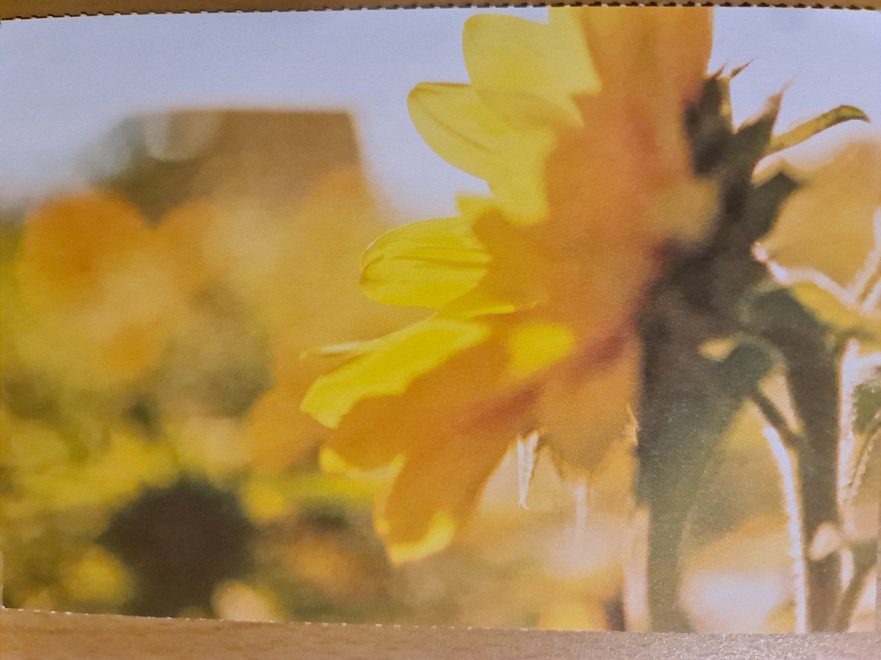 Cartoline postali: Postkarte – Nuovo (secondo la descrizione) da Dintikon venduto da Vexi
