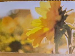 Postkarte
