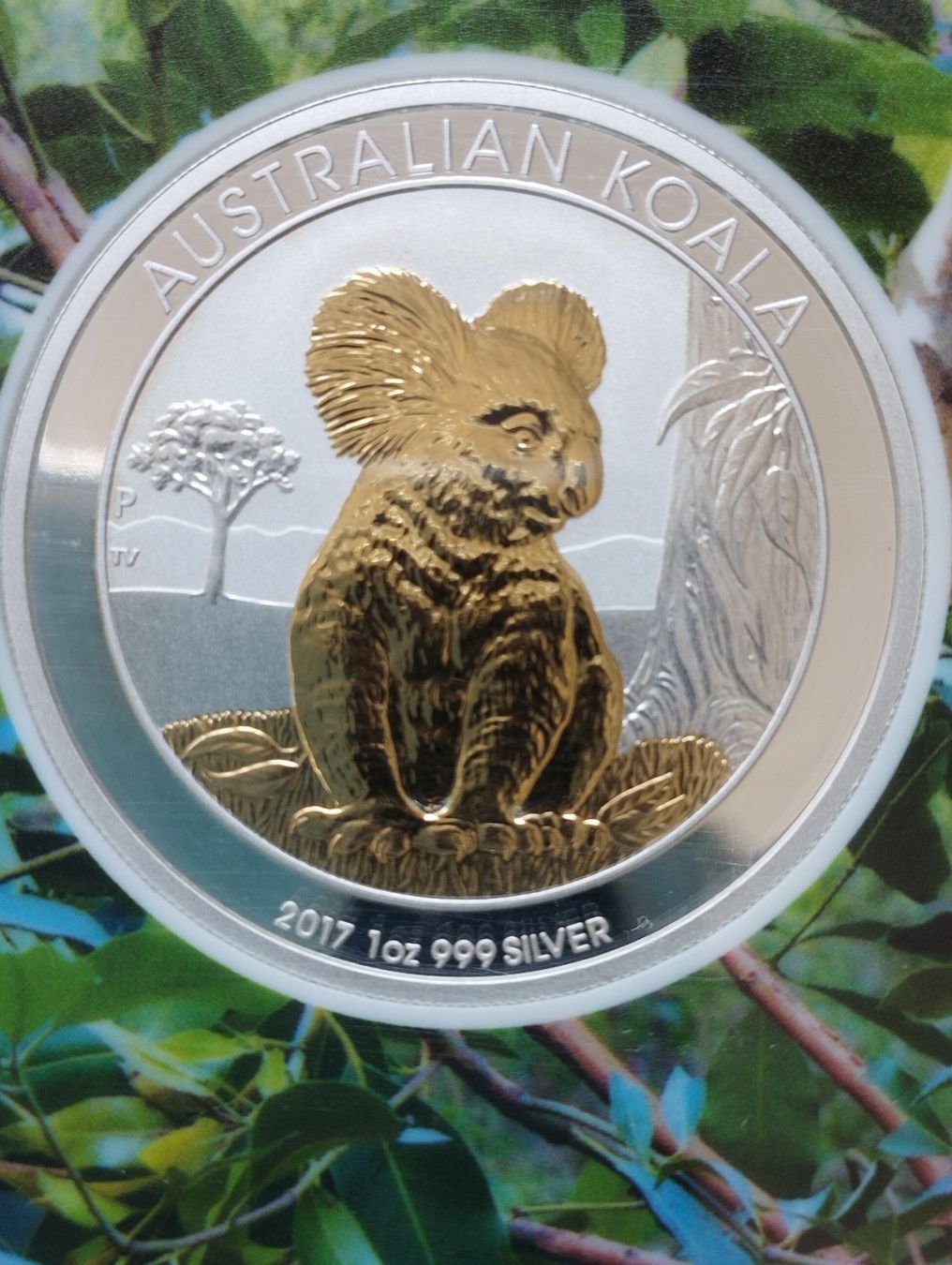Alle Münzen: Australia Koala 2017 Gilded – Neu und originalverpackt aus Zuzwil SG von hpzuzwil