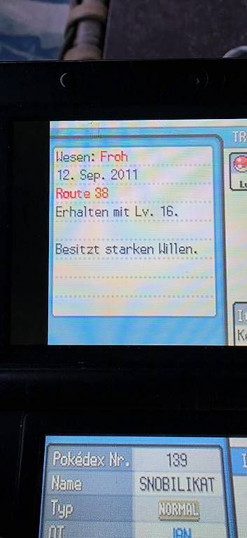 Pokémon Spiele: Pokémon Soul Silver – Gebraucht aus Luzern von Enma37 3