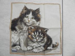 Taschentuch Fisba Stoffels Katze Katzenmotiv