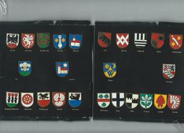 24 Pins Gemeindewappen Kanton Bern