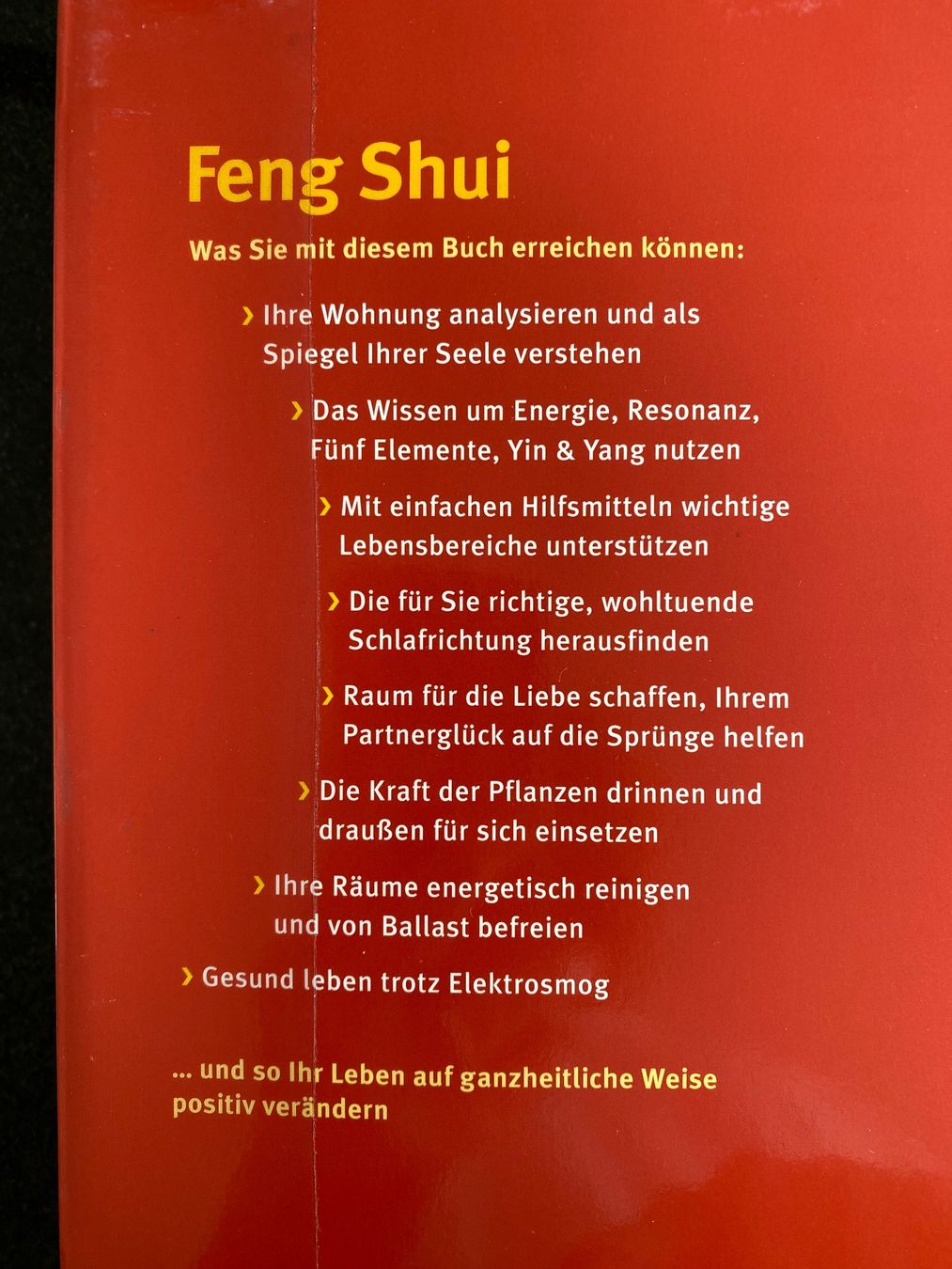 Libri: Günther Sator - Feng Shui – Usato da Meisterschwanden venduto da Lapins2019 1