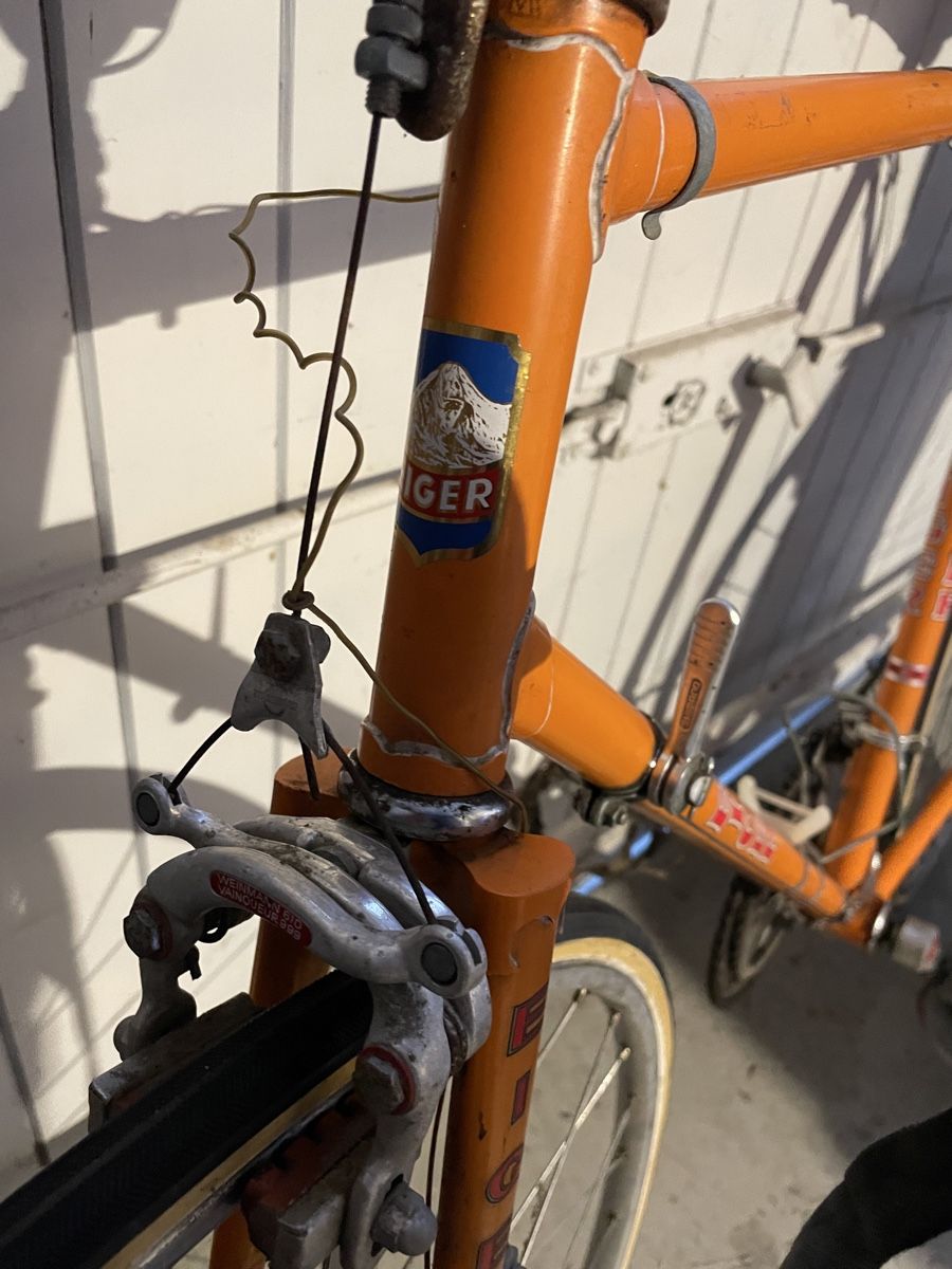 Biciclette: Eiger Rennvelo – Usato da Chur venduto da fan_gh6f 5