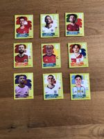 Panini