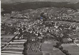 Karte Therwil 1965