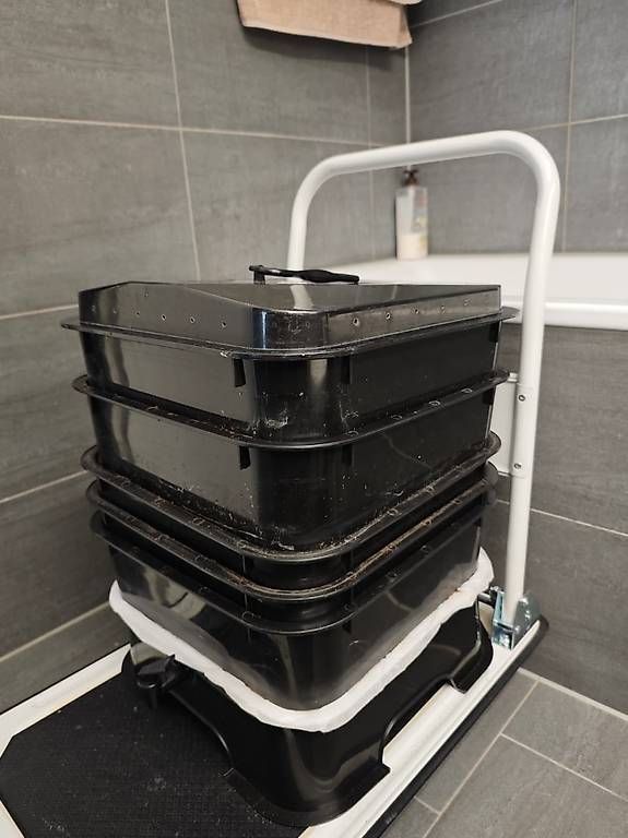 Coffres de rangement: Red wiggler worms + VEVOR 5-Tray Worm Composter tower – D'occasion à Dübendorf par Olenaaa