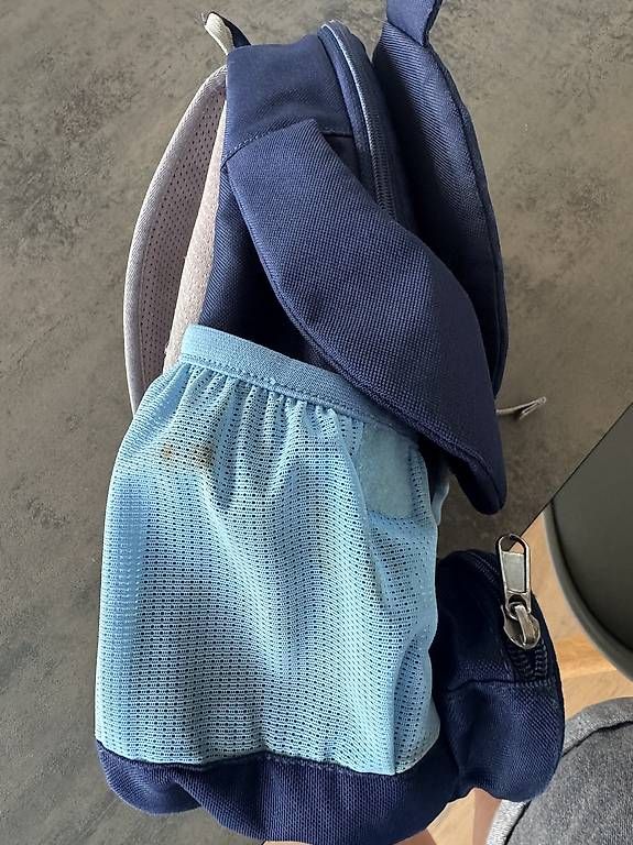 Borse & Zaini: Affenzahn Kinderrucksack Bär Blau – Usato da Wangen SZ venduto da CND1203 2