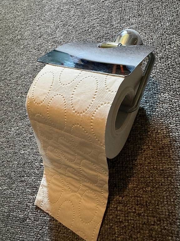 Portasciugamani: Wc- Papier Halter – Usato da Olten venduto da Skorpion_0