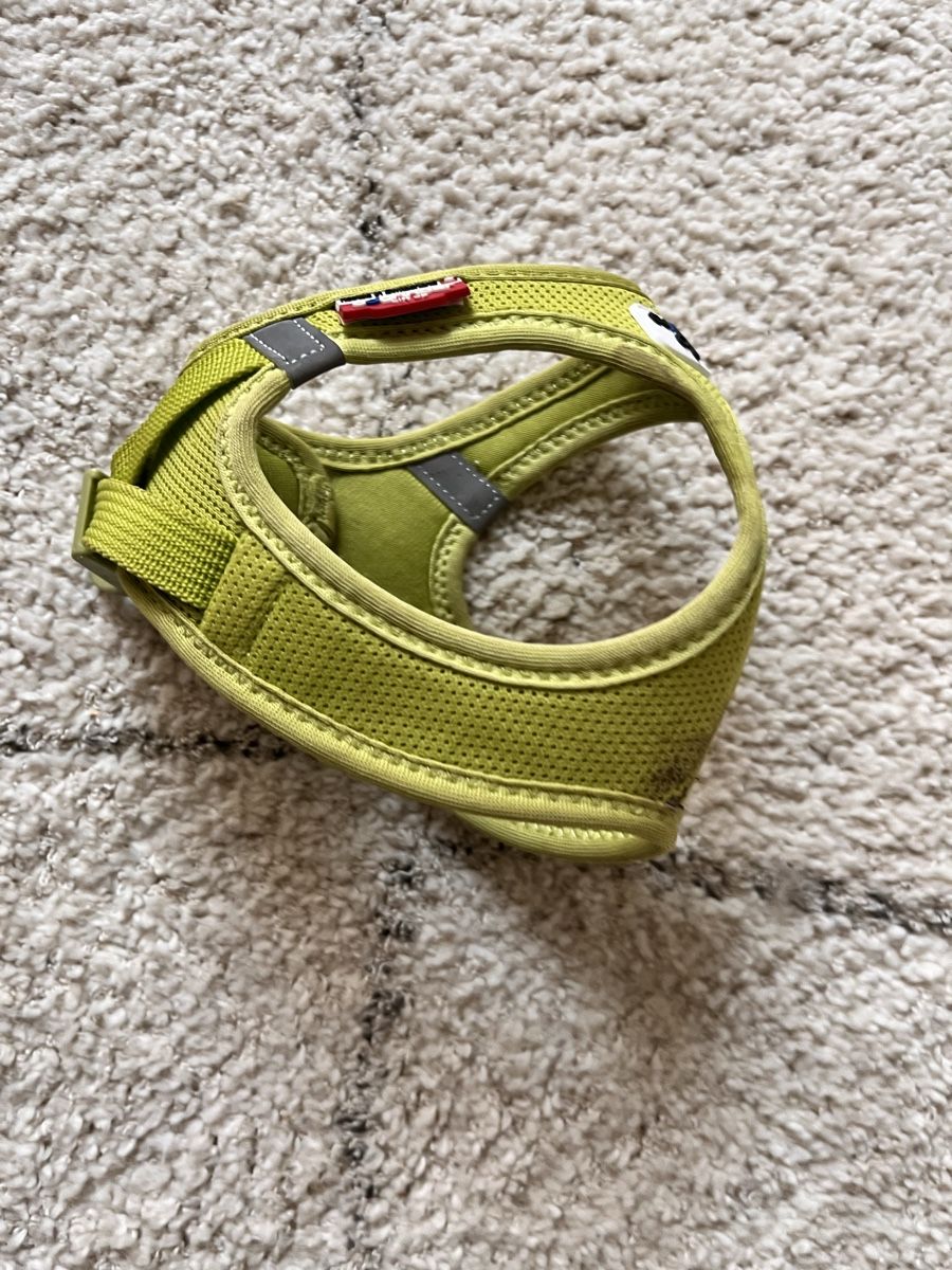Sport dell'aria & Aquiloni: Lime Green Dog/cat Harness - Breathable & Adjustable – Usato da Affoltern am albis venduto da onlyrose123