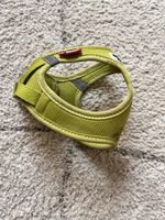 Lime Green Dog/cat Harness - Breathable & Adjustable