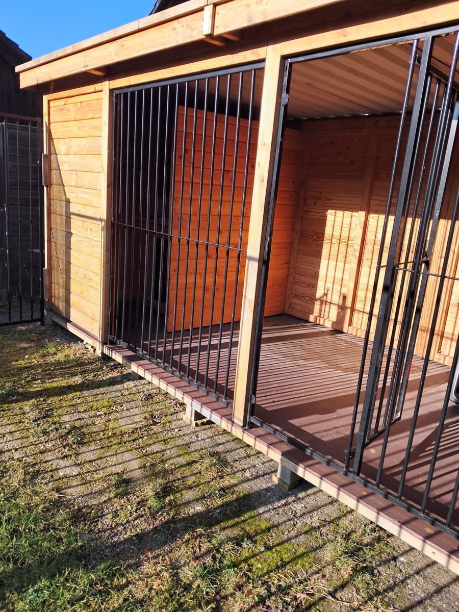 Cucce & Letti: Hundezwinger mit Auslauf – Usato da Roggwil BE venduto da Schlifer01 1