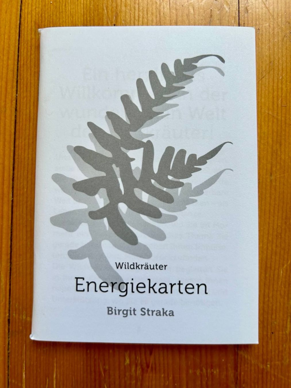 Giochi: Wildkräuter-Energiekarten und Begleitheft – Usato da Wald ZH venduto da xsternli 4