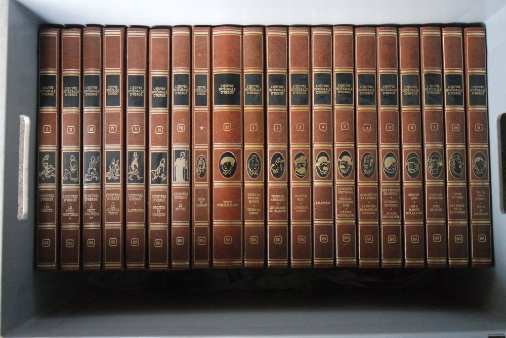 COLLECTION COMPLÈTE ROMBALDI °°° TINTIN °°° 20 albums (D'occasion) à ...