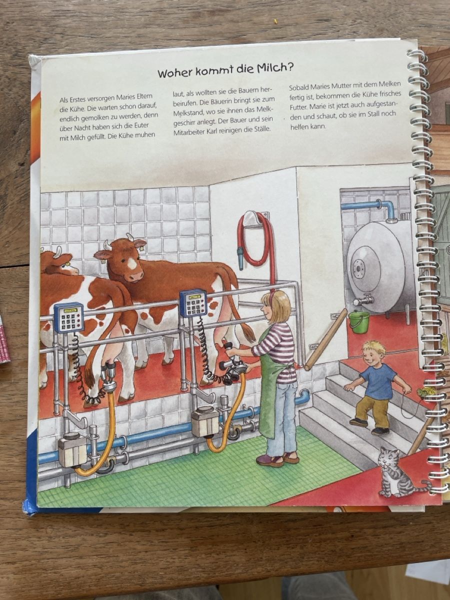 Tiptoi Giochi: Entdecke den Bauernhof – Usato da Heiligenschwendi venduto da Mike73 1