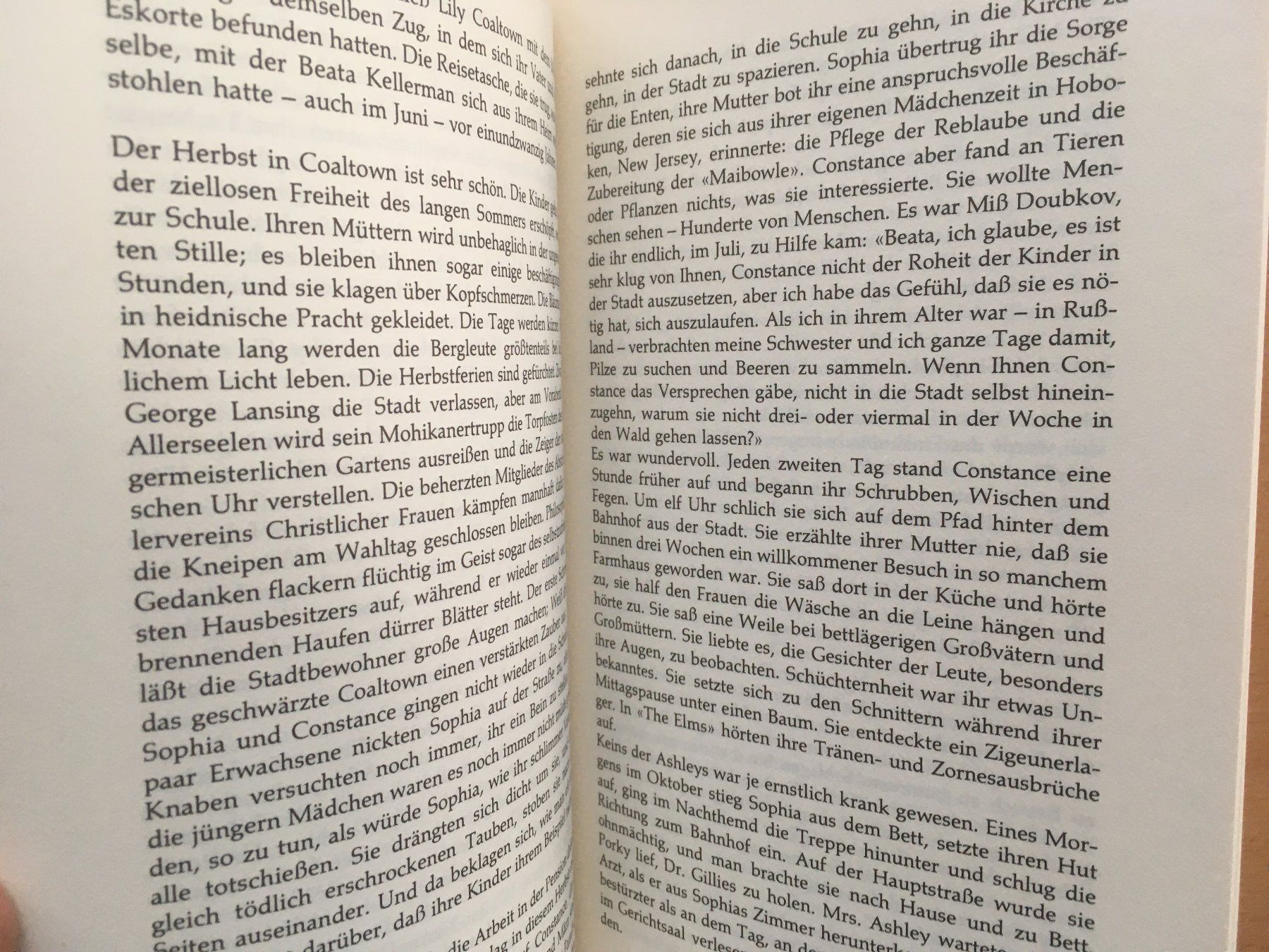 Libri: Der achte Schöpfungstag; Thornton Wilder – Usato da Grenchen venduto da Kogi7 6