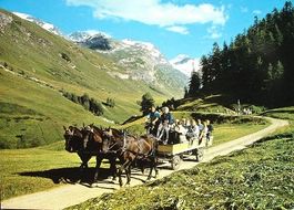 SILS-FEXTAL Pferde-Ausflugs-Omnibus
