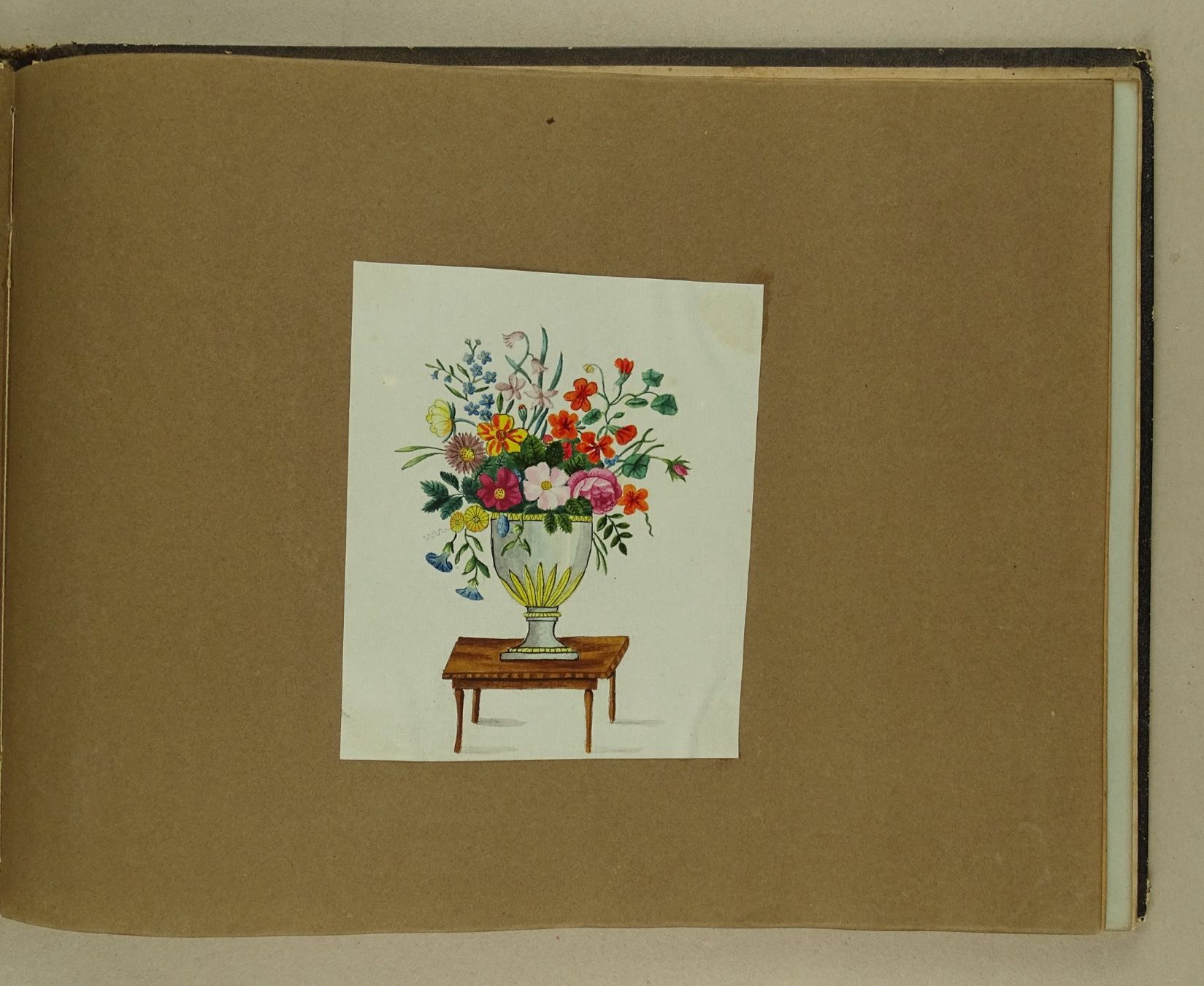 Libri: ALBUM MIT EINGEKLEBTEN BLUMENLITHOGRAPHIEN, BIEDERMEIER – Usato da Grüningen venduto da Kartensammler 7