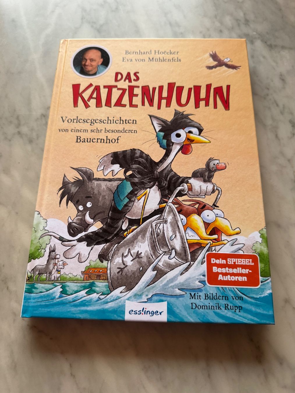 Bücher: DAS KATZENHUHN – Neu (gemäss Beschreibung) aus hägendorf von twilightprincess
