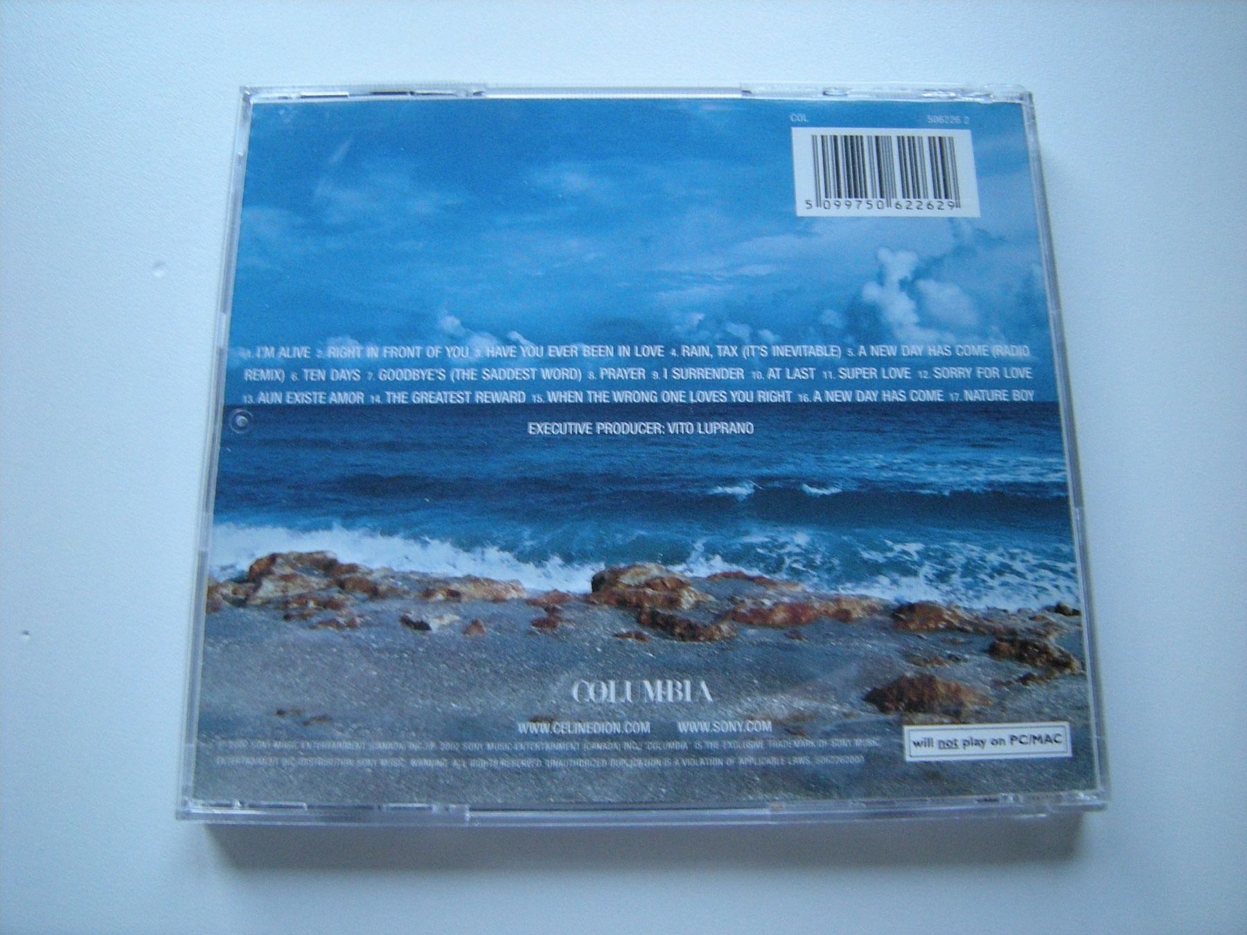 CD: CELINE DION - A new day has come – Usato da Basel venduto da Ceebee62 1