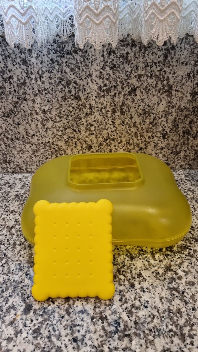 Alessi Contenitori & Simili: Biscottiera ALESSI – Usato da Cadenazzo venduto da man_9hnd 1