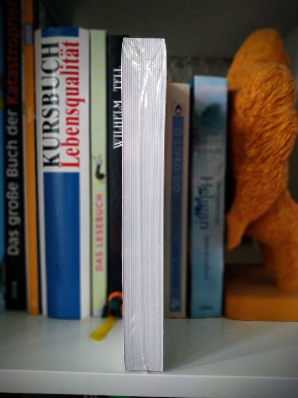 Libri: Microsoft Windows for Workgroups & MS-DOS Handbuch | PT – Nuovo e nell'imballaggio originale da Volketswil venduto da cmcj_74 2