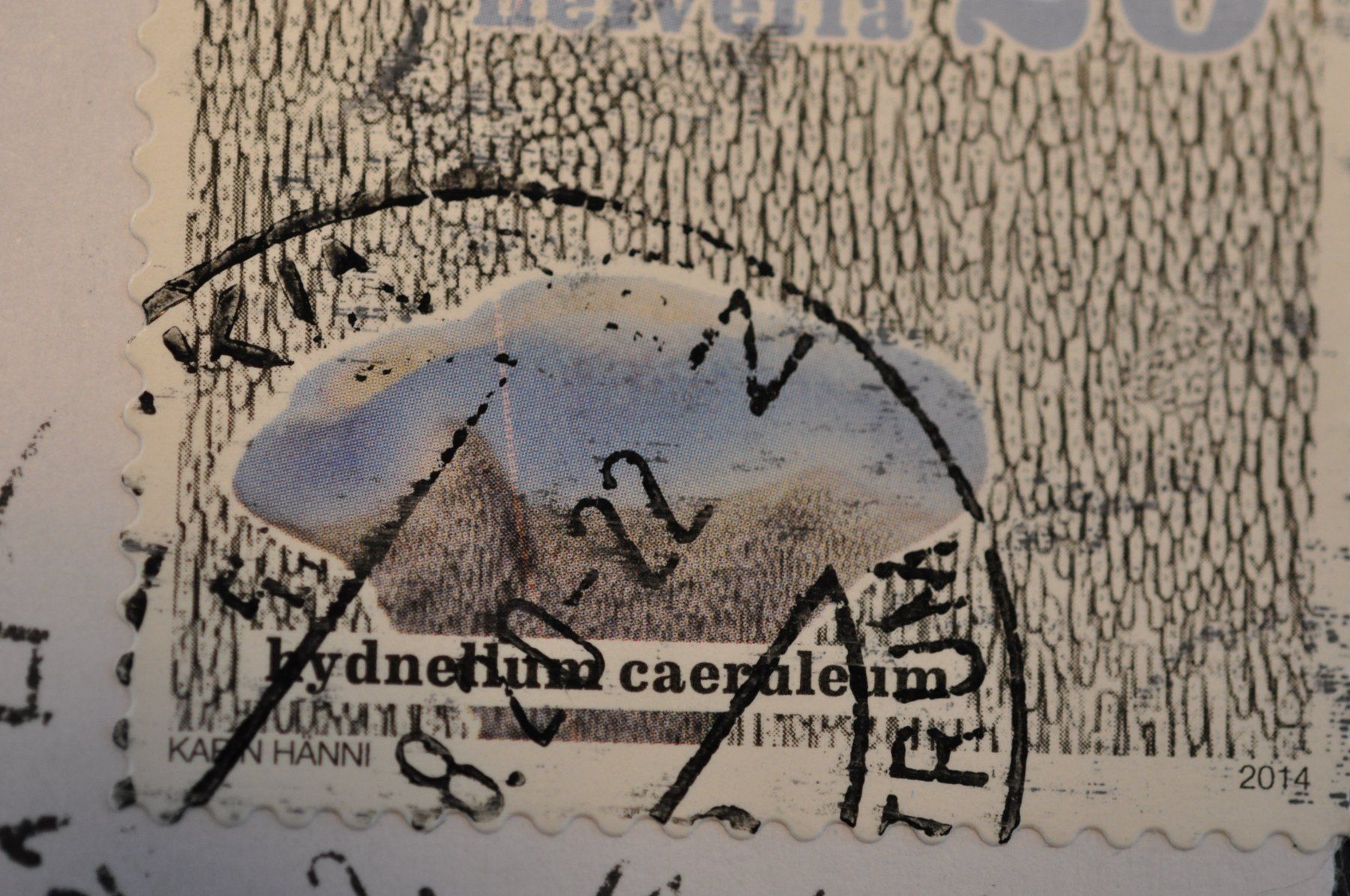 Alle Briefmarken: Abart Pilz 2014  länglicher roter Fleck – Gebraucht aus Worb von Buespy 1