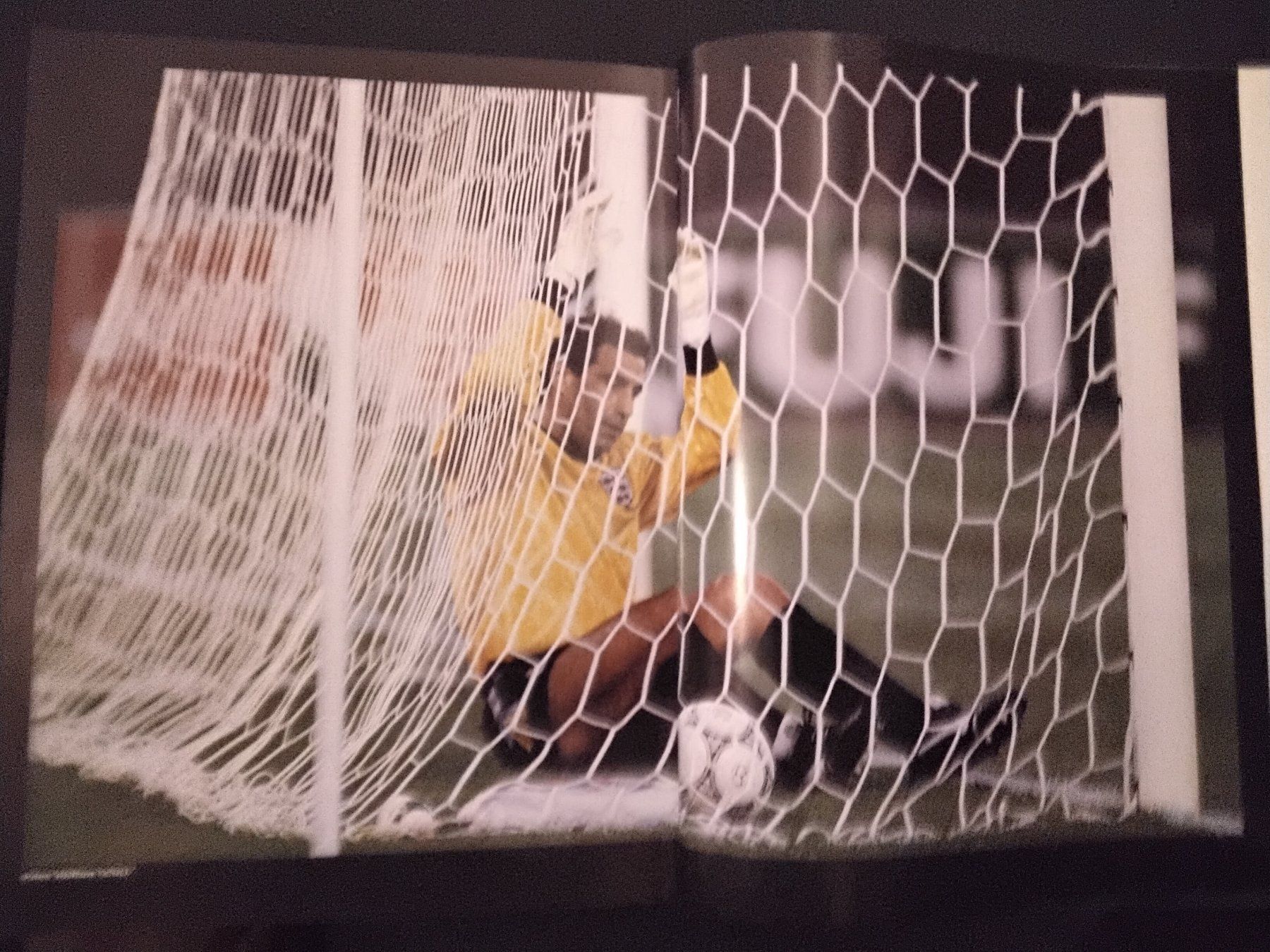 Album: FUSSBALL WORLD CUP – Usato da Brunnen venduto da antonia50 2
