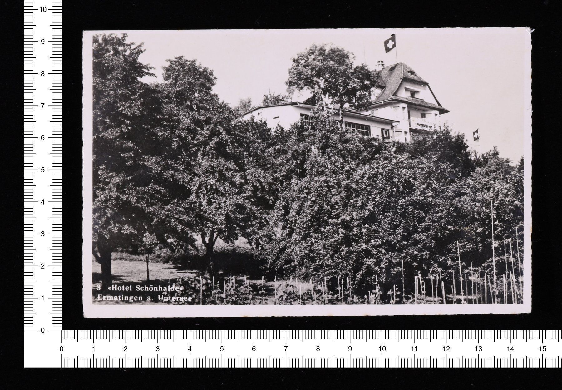 Cartoline postali: "Hotel Schönhalde" – Usato da Riehen venduto da Tignanello1