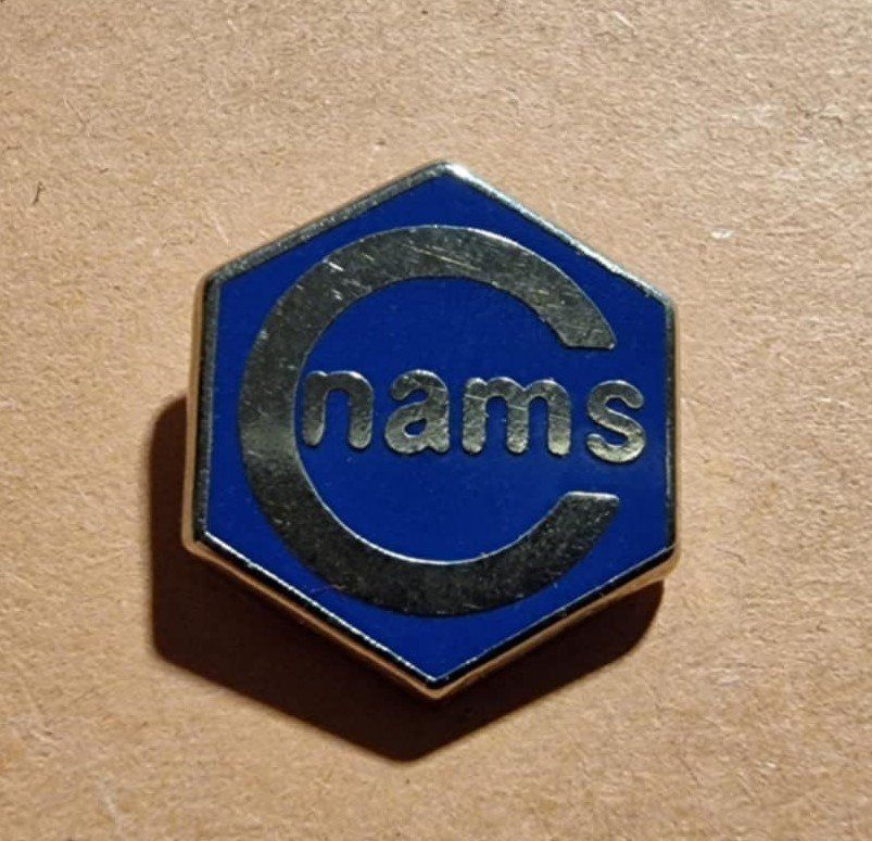Plaketten & Abzeichen: Pin nams – Gebraucht aus Härkingen von specialshapes