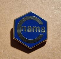 Pin nams