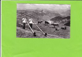 Alphornbläser auf Rigi-Kulm