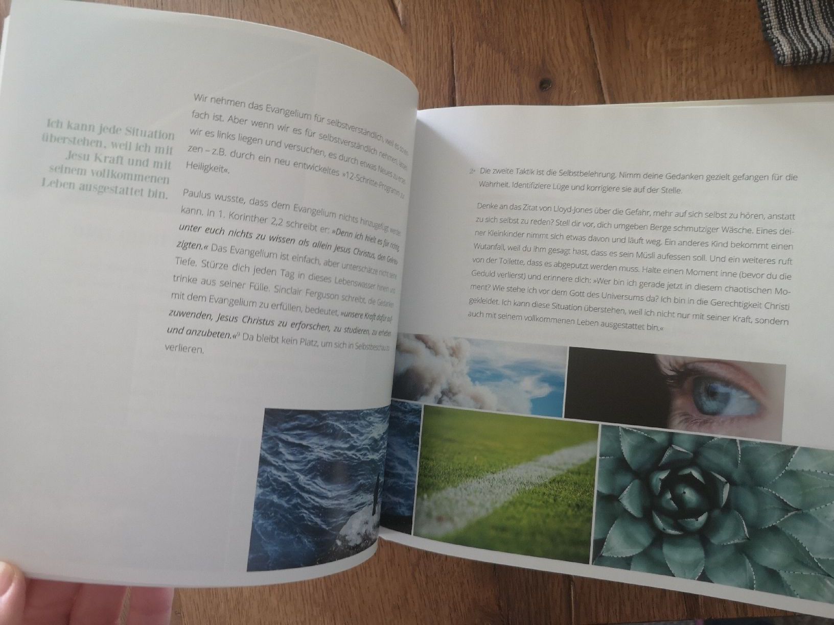 Libri: Buch: Mutterglück - Mit Gott im Blick – Nuovo (secondo la descrizione) da Stein AR venduto da elifi88 2