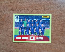 Panini JPN 13