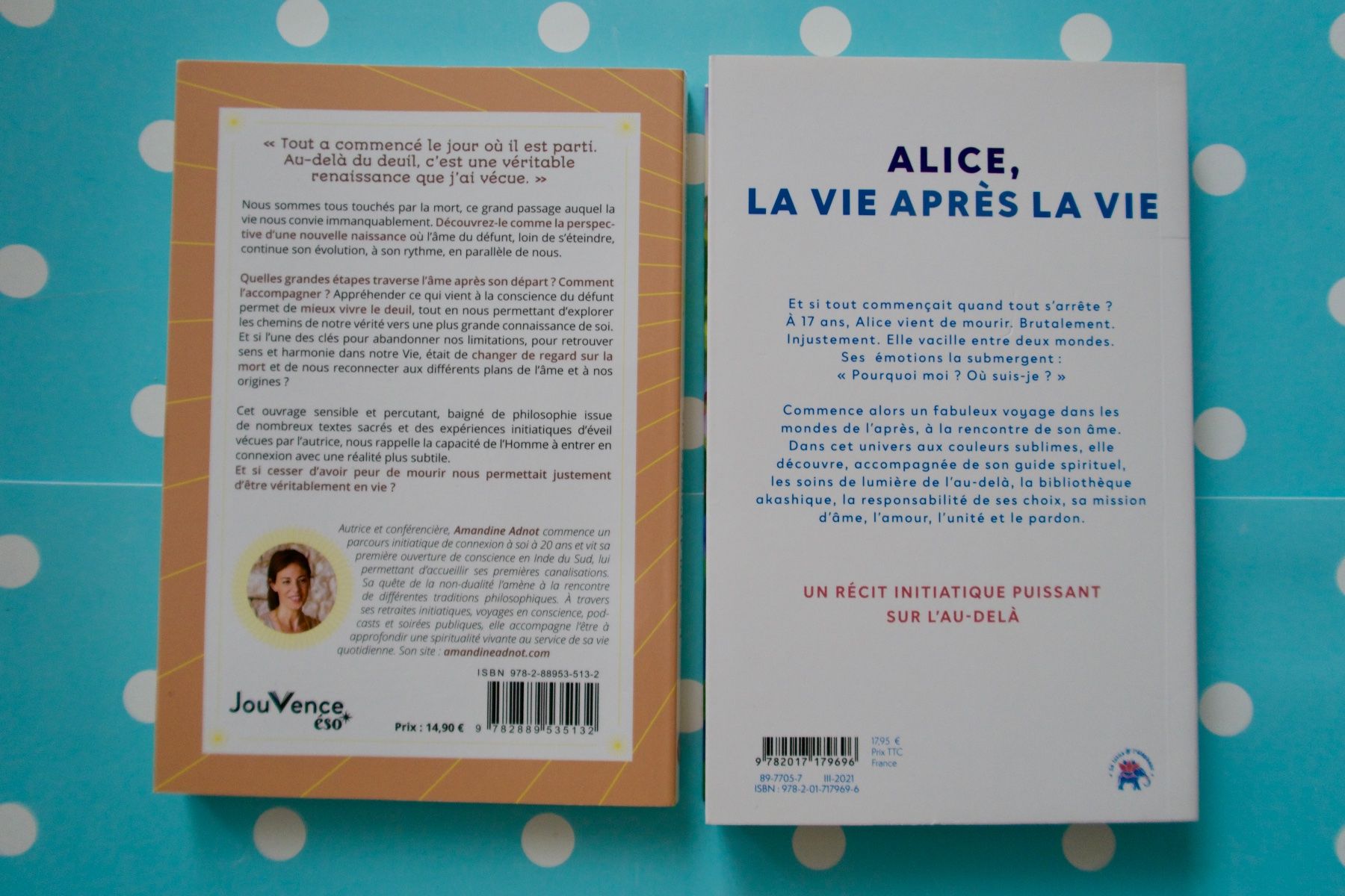 Libri: 2 Livres "...après la Vie" – Usato da Lausanne venduto da Etoile96 1