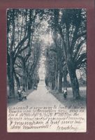 GENEVE - Parc Mon Repos - Enfants - 1905