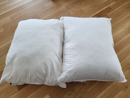 2er Set IKEA Kissen SKOGSFRÄKEN, hoch, 50x60cm, neu