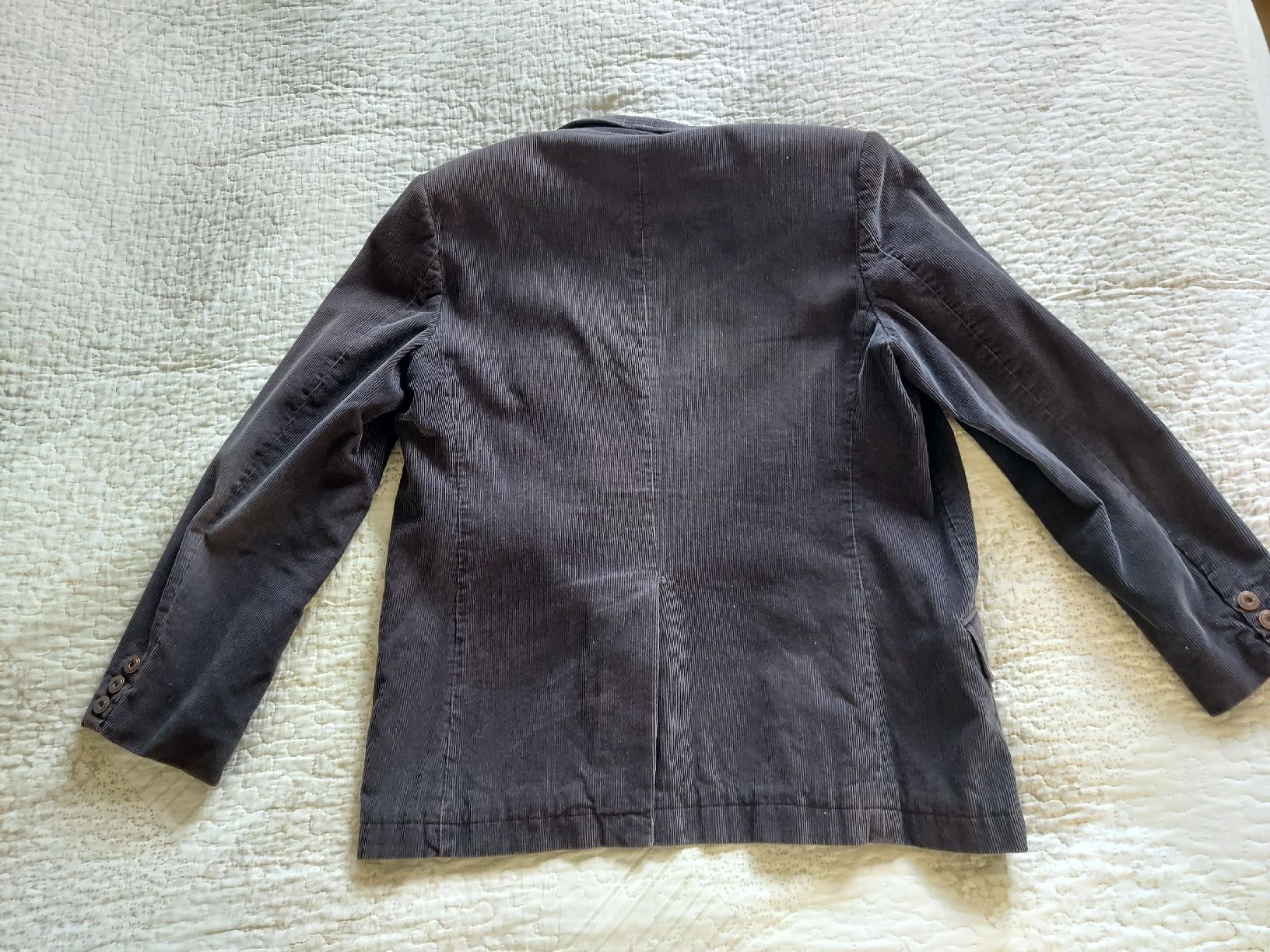 Pepe Jeans Giacche: Blaser Pepe Jeans Veluto – Usato da tenero venduto da Mam74 1