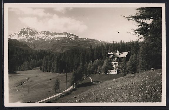 Ansichtskarten: AK Silvaplana, Hotel Waldheim – Gebraucht aus Berlin von bartko-reher
