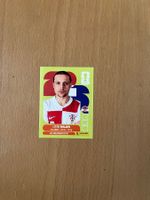 Panini Sticker